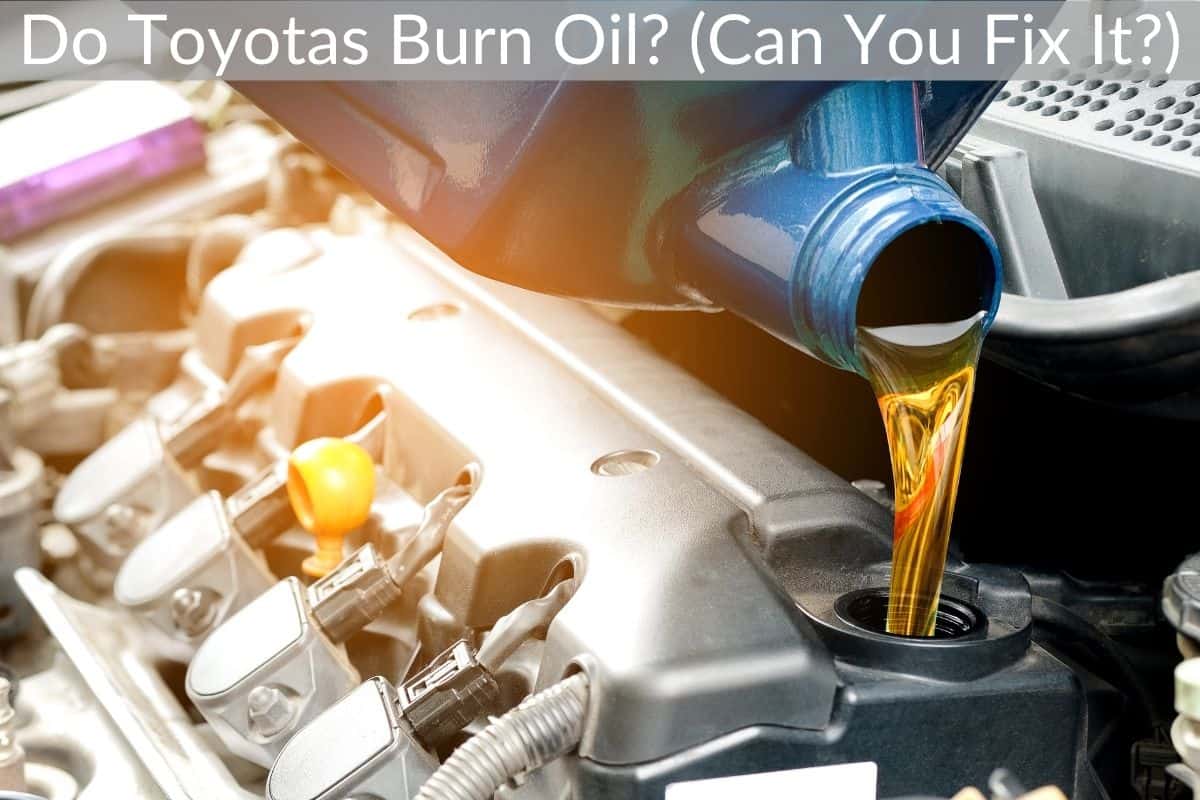 Do Toyotas Burn Oil? (Can You Fix It?)