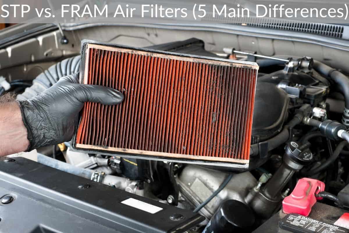 STP vs. FRAM Air Filters (5 Main Differences)
