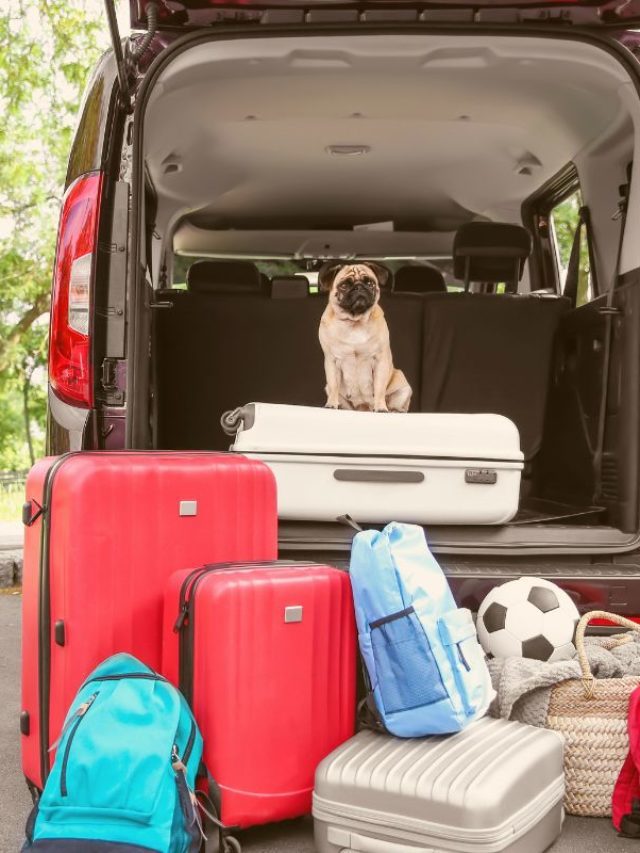 How Many Suitcases Can You Fit In A Minivan? – Story